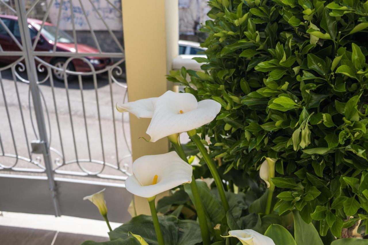 Maison de Soleil Corfu  Exterior foto